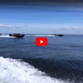Actionboat RIB Showcase @ RIBs ONLY - Home of the Rigid Inflatable Boat