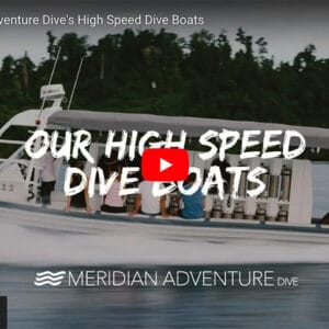 Meridian Adventure’s High Speed Dive RIBs – Gemini Yamaha Powered @ RIBs ONLY - Home of the Rigid Inflatable Boat