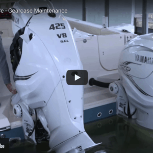 Yamaha XTO Offshore - Gearcase Maintenance