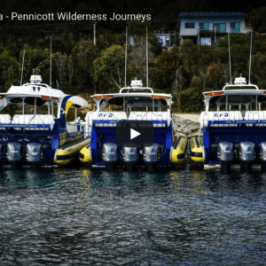 Why Yamaha - Pennicott Wilderness Journeys