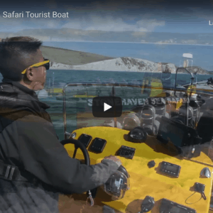 Ribcraft RIB Sea Safari Tourist Boat @ RIBs ONLY - Home of the Rigid Inflatable Boat