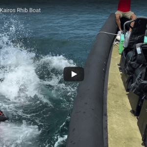 Diving From Kairos RIB @ RIBs ONLY - Home of the Rigid Inflatable Boat