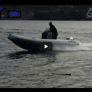 Avila Grifo RIB @ RIBs ONLY - Home of the Rigid Inflatable Boat