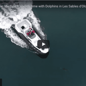 Zodiac Medline 9 RIB Meets Dolphins in Les Sables d'Olonne
