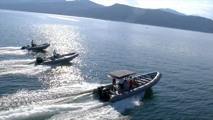Discover the Marshall RIBs Suzuki Powered @ RIBs ONLY - Home of the Rigid Inflatable Boat